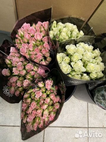 Цветы хризантемы Лилии по оптовым ценнам