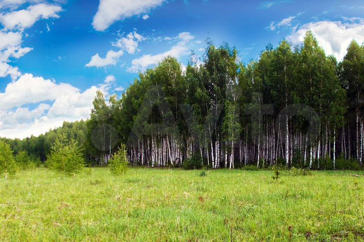 Участок 7,4 сот. (ИЖС)