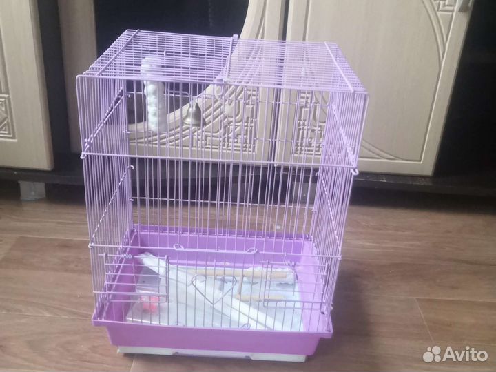 Клетка для волнистого попугая