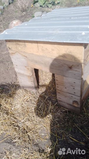 Будка для собаки бу