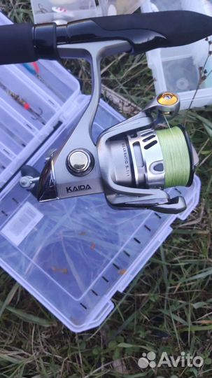 Kaida Af. Power 2000