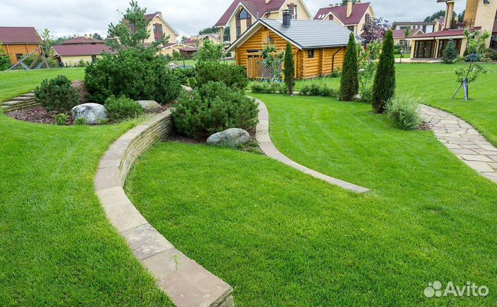 Рулонный газон под ключ