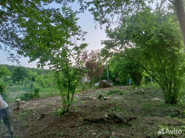 Расчистка участка