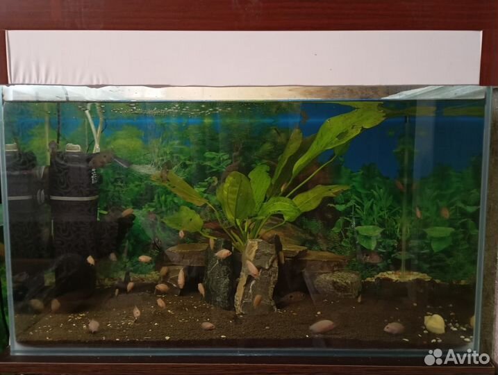 Аквариум