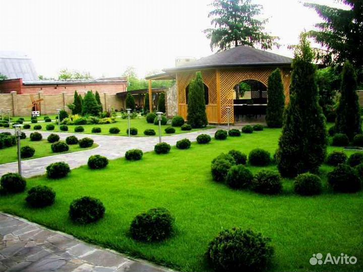 Рулонный газон от производителя