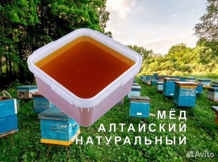 Мед натуральный алтайский оптом