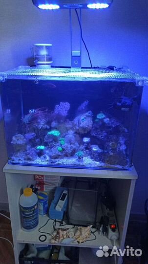 Морской аквариум с тумбой