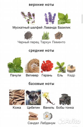 Patou pour Homme Jean Patou