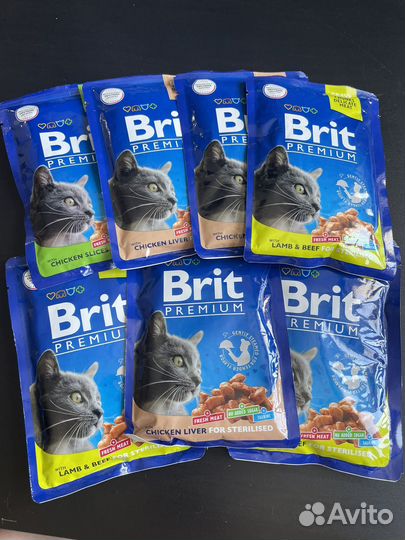 Влажный корм для кошек Brit