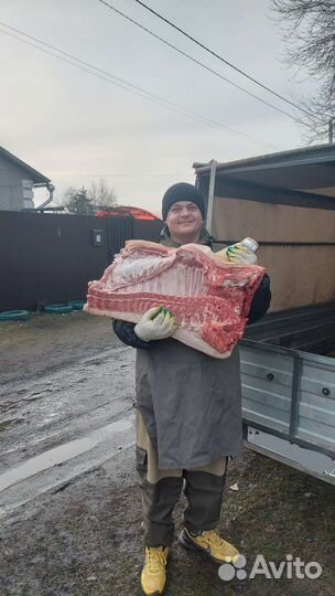 Мясо свинина домашняя