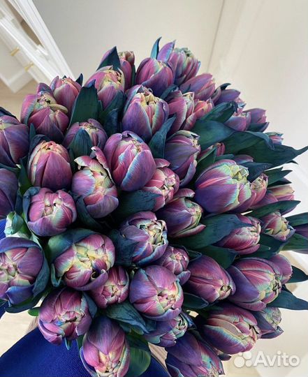 Тюльпаны Синие букеты цветы доставка 24/7