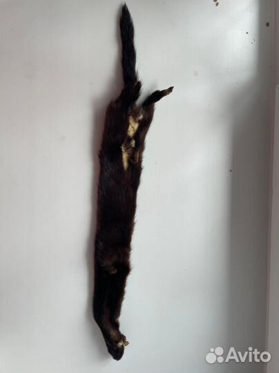 Мех норки шкурки