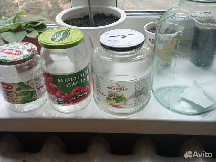 Банки стекляные