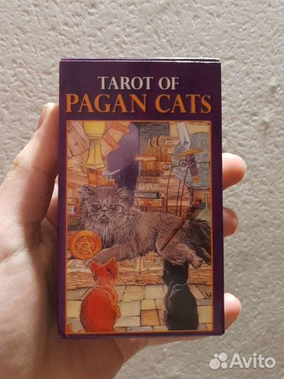Таро с кошачьими