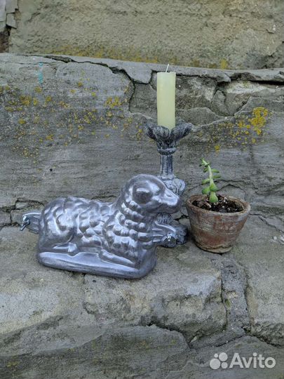 Барашки агнец агнес