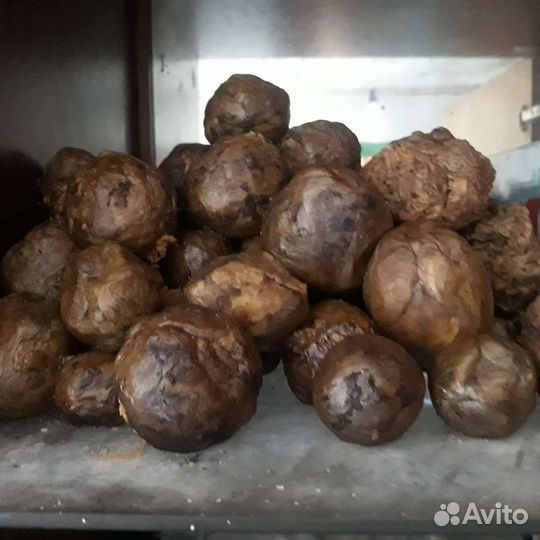 Мед прополюс