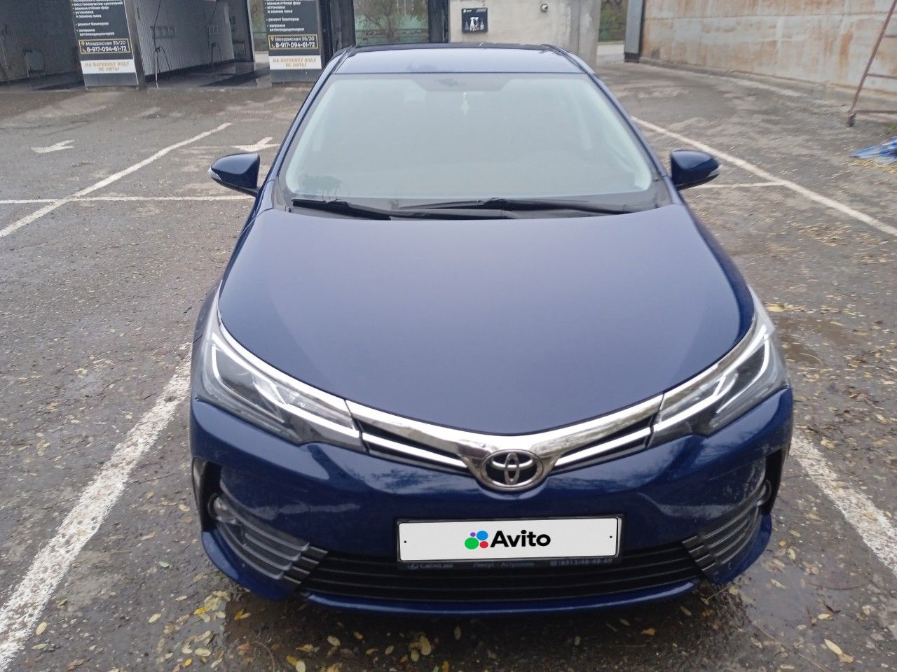 Toyota Corolla: фото владельца