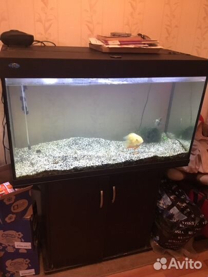 Аквариум Bio design с тумбой