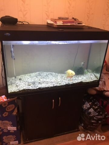 Аквариум Bio design с тумбой