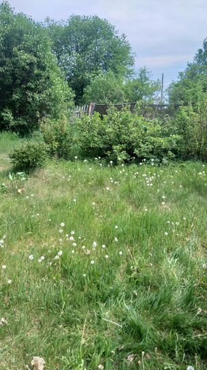 Дом 50 м² на участке 26 сот.