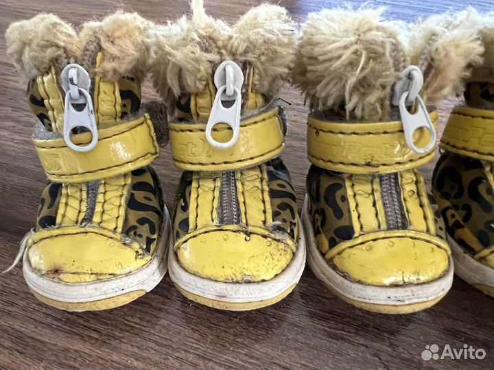 Ботинки для собак р.2 Showpet