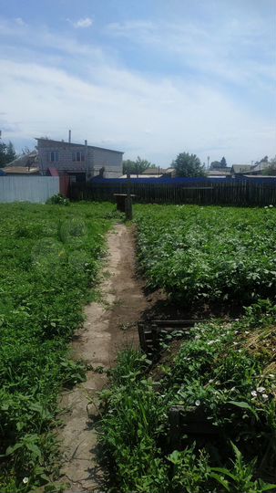 Дом 54 м² на участке 10 сот.