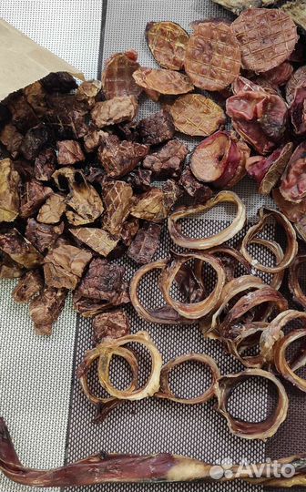 Сушёные лакомства для собак