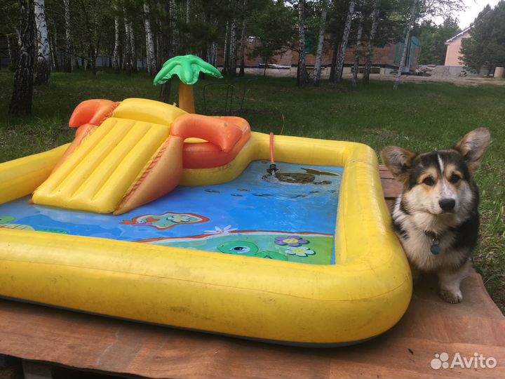 Детский надувной бассейн