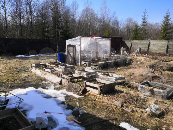 Участок 6 сот. (СНТ, ДНП)