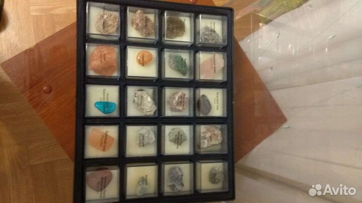 Коллекции минералов и насекомых