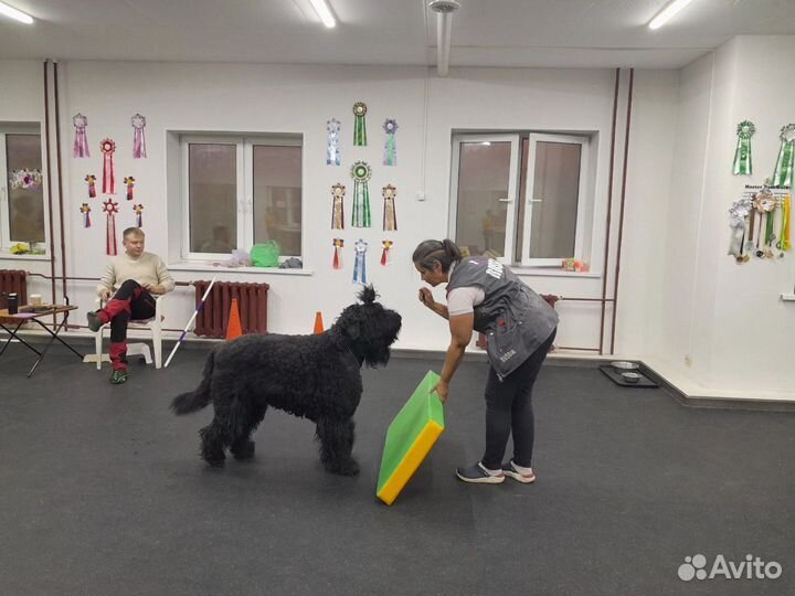 Клуб Собаководства 