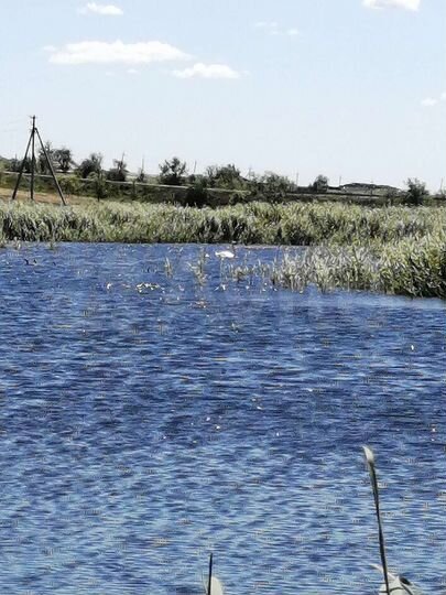 Участок 2,4 га (ИЖС)