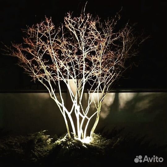 Монтаж ландшафтного и архитектурного освещения