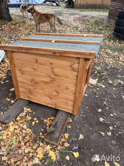 Будка для собаки