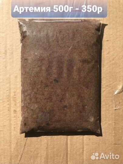 Корма для рыб замороженные (мотыль, артемия и др)