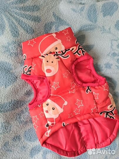 Жилет для собак мелких пород