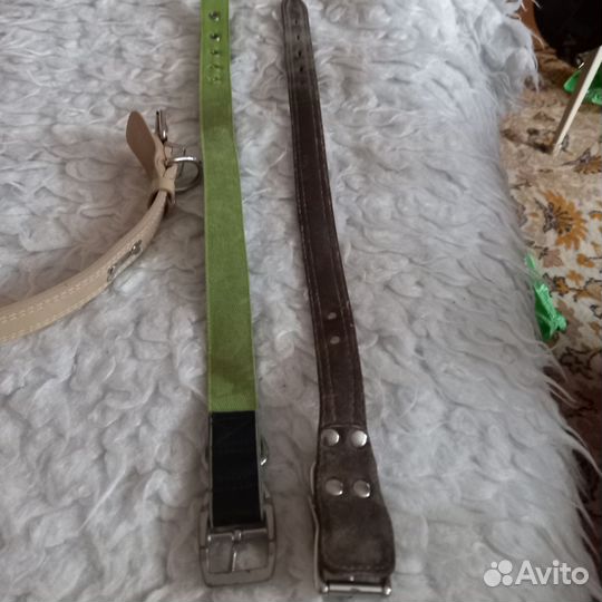 Ошейник для собак