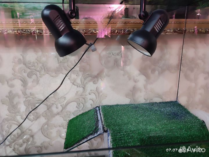 Черепашатник