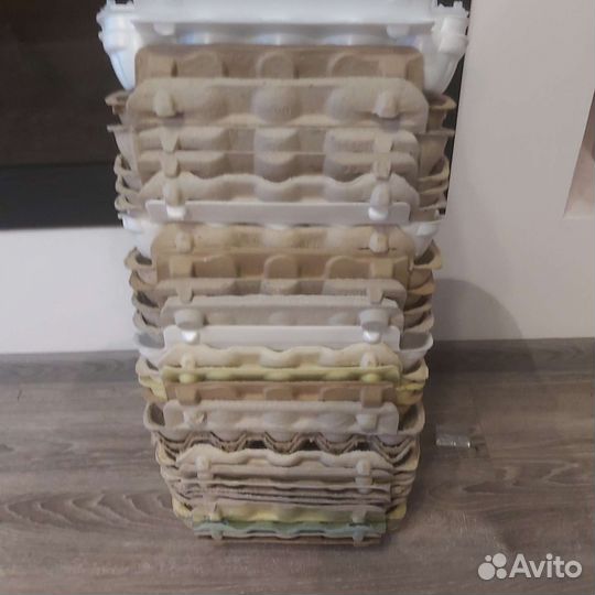 Лотки для яиц