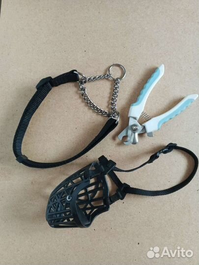 Намордник 150, ошейник 280, когтерезы 150