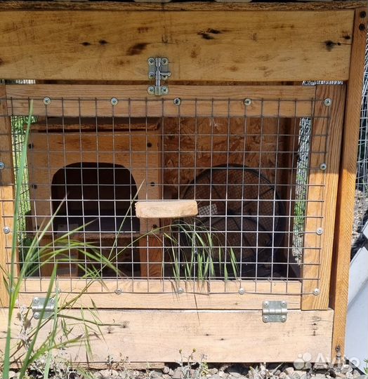 Клетка для хомяка большая