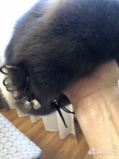 Берет норка 57 размер, б/у