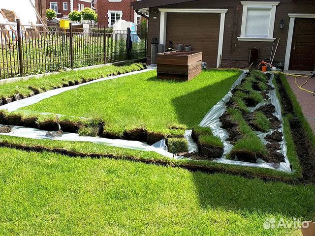 Система автополива под ключ