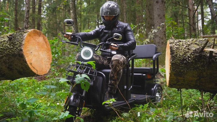 Электротрицикл White Siberia Sibtrike R 2000W