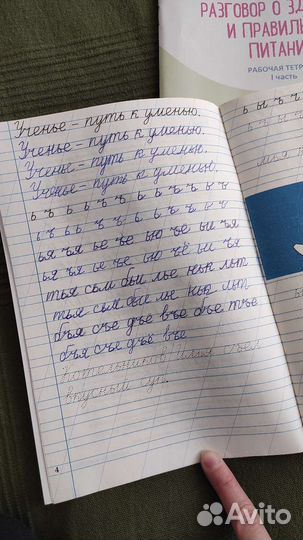 Рабочие тетради 1 класс