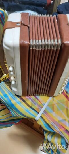 Аккордион, музыкальная игрушка