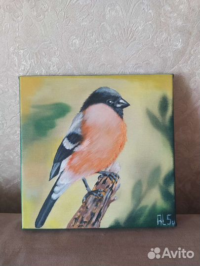 Картина маслом птица 20*20