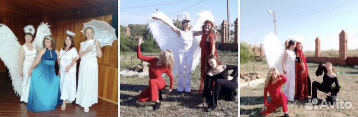 Аренда крыльев