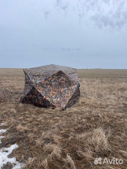 Палатка Медведь куб4 Лонг 250х215