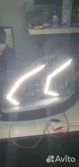 Дхо галки на приору